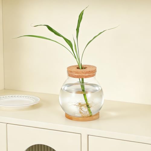 ibasenice Betta Fish Tank with Lid and Cushion Hydroponic Glass Aquarium for Desktop for Betta Fish and Aquatic Plants Terrarium with Base