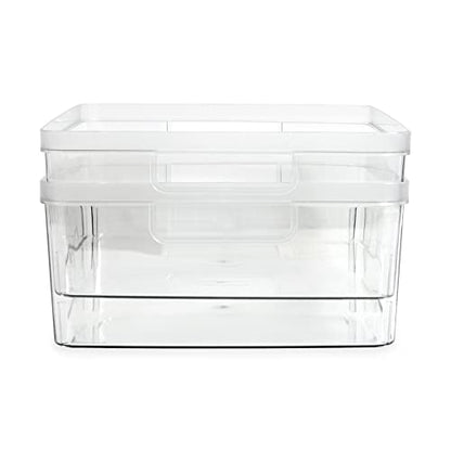 Isaac Jacobs 2-Pack Large Clear Storage Bins (11.5” L x 14” W x 5.5” H) w/Cutout Handles, Plastic Organizer for Home, Office, Kitchen, Fridge/Freezer, Bathroom, BPA Free, Food Safe (Large)
