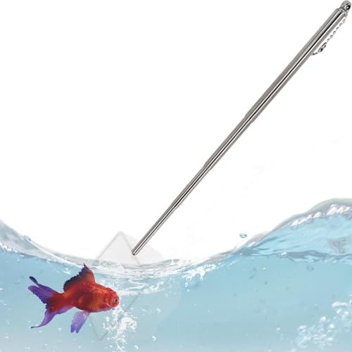 Aquarium Fish Tank Net - Fish Catching Net, Expandable Goldfishh Net | Fish Aquariums Nets with Adjustable Long Handle, Small Aquarium Net, Pond Shrimp Aquarium Net for Fiish Small Pond and Pool - size: large-square