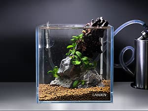 25C 3.7 Gallon Cube Rimless Low Iron Aquarium Tank, W9.84×D9.84×H9.84 in(25x25x25cm) 5mm Thickness with Nano Foam Leveling Mat Included - size: 3.7Gal W9.84×D9.84×H9.84 in(25x25x25cm)
