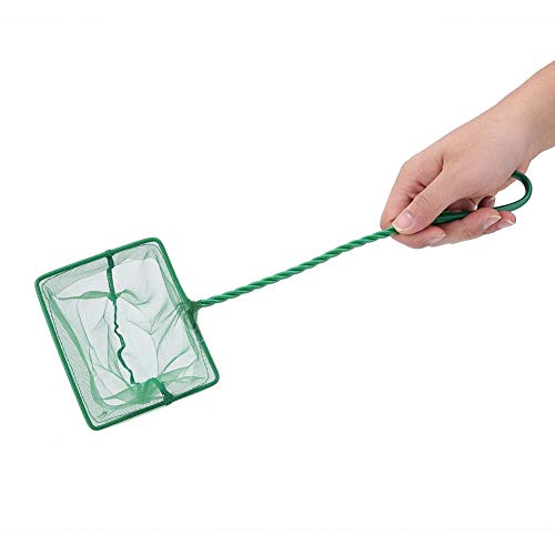 Fishing Landing Net, Portable Catch and Release Fish Net Fish Skimming Net Goldfish Net Floating Debris Clean Tools for Aquarium Fishbowl Fish (6 inch)