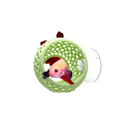 Betta Bulb Hide | Suction Cup Betta Fish Cave & Shrimp Hideout | Wall-Mounted Aquarium Cave for Betta Tanks, Nano Tanks & Planted Aquariums (Minty Dream)