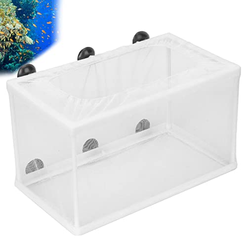 Aquarium Fish Breeder Box, Fish Tank Breeder Net Fish Hatchery Isolation Separation Net with Suction Cups for Aquarium Shrimp Betta Small and Big Size ﻿ (L)