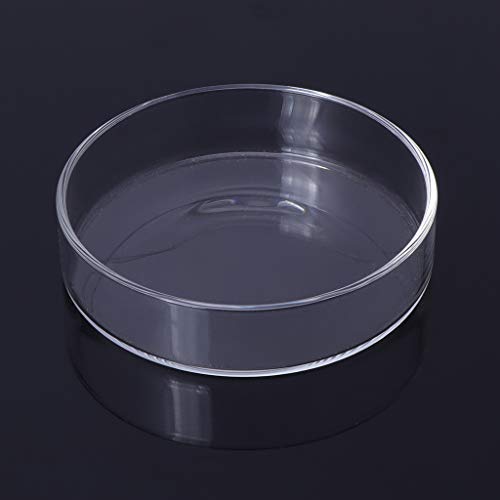 Aquarium Shrimp Feeding Dish High Clear Glass Bottom Feeders Food Bowl 3.9 5 2 2.4 Inches Round Tray Tool Dish - size: S