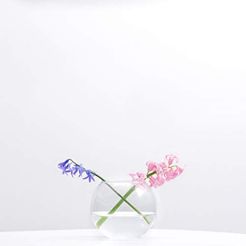 WGV Bowl Glass Vase, Diameter 6", Height 5", Open Width 4", (Multiple Sizes Choices) Clear Bubble Planter Terrarium Fish Bowl for Wedding Event Home Decor, 1 Piece (VBW0006) - size: 6"Dx5"H 1 Piece