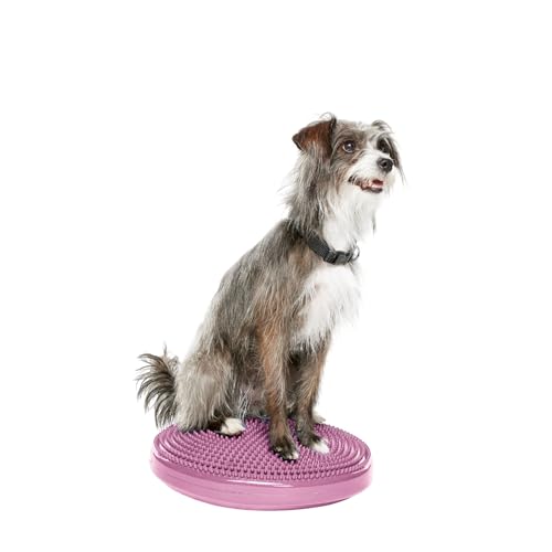 FitPaws® Dog Balance Disc, Exercise Equipment, Rehabilitation + Training, - color: Razzleberry, size: 14"