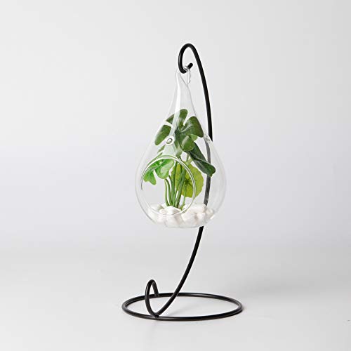 WGV Glass Hanging Plant Terrarium Bulk, Width 3", Height 5.5", Teardrop DIY Air Succulent Planter Clear Tea Light Votive Candle Holder, Wedding Event Office Home Outdoor Decor, 6 Pieces