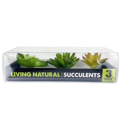 Komodo Reptile Terrarium Succulent 3PK Yellow/Green Plants | Natural Looking Artificial Aquarium Ornament & Habitat Decoration Accessory with Weighted Base