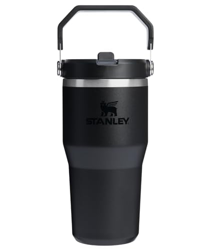 STANLEY IceFlow 2.0 Flip Straw Tumbler, 20 oz, Black 2.0 - color: Black 2.0, size: 20 Ounces