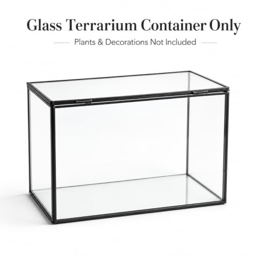 Glass Plant Terrarium with Lid, Rectangular Black Metal Frame Box for Indoor Plants, Clear Glass Container for Moss, Succulent, Fairy Garden, Tabletop Decor DIY Gift, 8.3”L x 4.7”W x 5.5”H