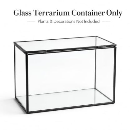 Glass Plant Terrarium with Lid, Rectangular Black Metal Frame Box for Indoor Plants, Clear Glass Container for Moss, Succulent, Fairy Garden, Tabletop Decor DIY Gift, 8.3”L x 4.7”W x 5.5”H