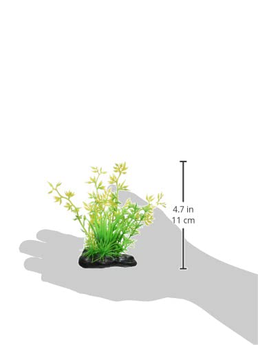 Nissau Little Garden Mini5