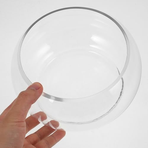 Hydroponic Plant Pot Clear Daffodil Bowl for Desktop Decor Durable Fish Tank for Flowers Plants Portable Tiny Aquarium Present for Home Parties