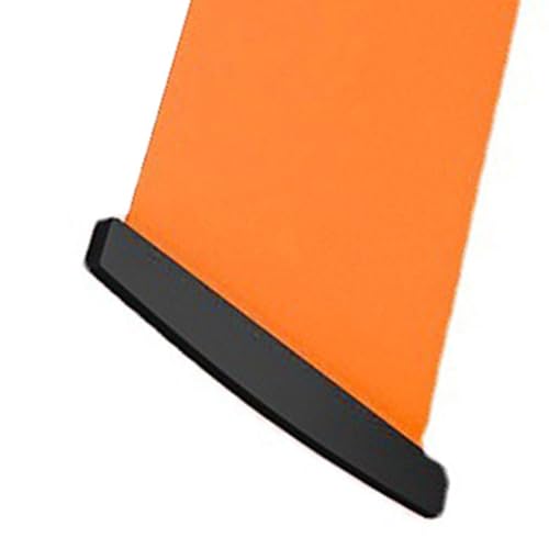 SUNGOOYUE Thickened ABS Baffle Slide Board Fitness Sliding Board, PVC Non Slip Mesh Balance Exercise Training Equipment for Home for Body Shaping Buttocks Slimming (Shoe