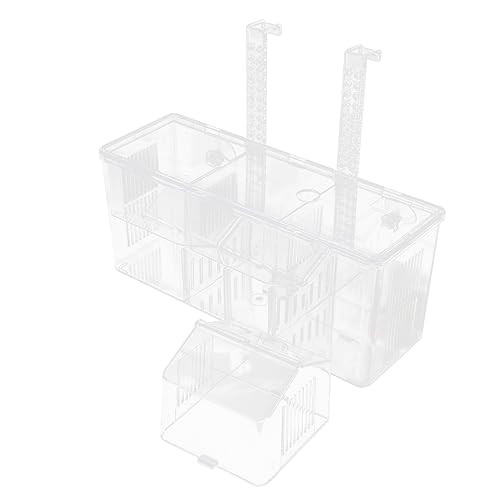 BESPORTBLE Fish Breeding Box Aquarium Separation Container Cups Isolation Box for Hatching Healthy Environment for Pregnant Fish