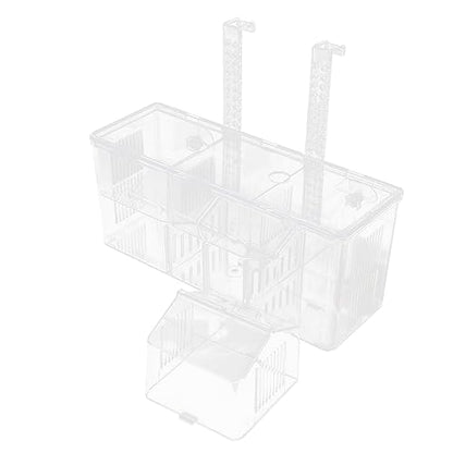BESPORTBLE Fish Breeding Box Aquarium Separation Container Cups Isolation Box for Hatching Healthy Environment for Pregnant Fish