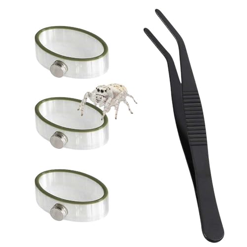 Jumping Spider Enclosure Accessories 3 Pcs Magnetic Feeding Bowl Set with Jumping Spider Feeding Tongs Removable Feeding Station Decor for Spider Terrarium