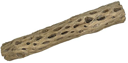 Awesome Aquatic 12 inch 2-3” Thick XL Teddy Bear/Chain Fruit/Buckhorn/Staghorn Cholla Wood Hollow Tube Wood Cactus Skeleton Tubes 12” x 2-3” Thick/Diameter (12 in x 2-3 in Diameter)