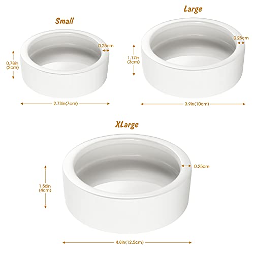 Worm Dish - Large 2 Pcs Reptile Food & Water Bowl for Lizard, Gecko, Chameleon, Hermit Crab, Bearded Dragon & More - Ceramic Anti-Escape Mini Reptile Feeder