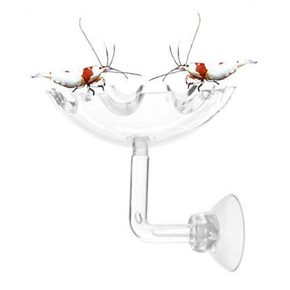 Shrimp Feeding Dish Shrimp Feed Dish, High Transparent Acrylic Material