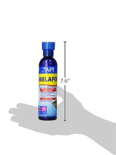 API MELAFIX Freshwater Fish Bacterial Infection Remedy 8-Ounce Bottle - size: 8-Ounce