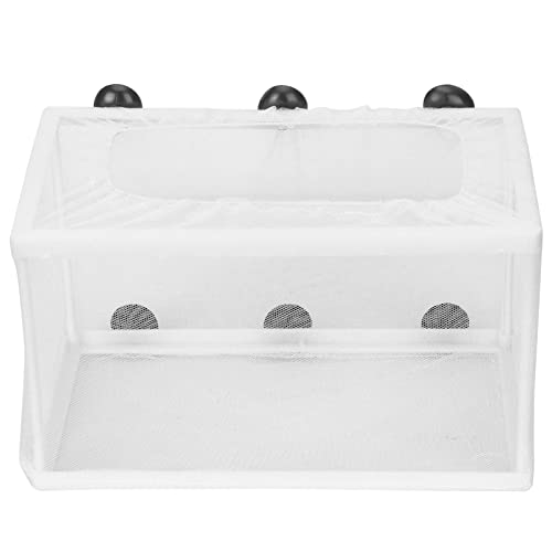 Aquarium Breeder Box with Suction Cups | Detachable Fish Hatchery & Isolation Enclosure | Multi - Functional Incubator for Fry/Unwell Fish/Shrimp | Secure Plastic & Mesh Design