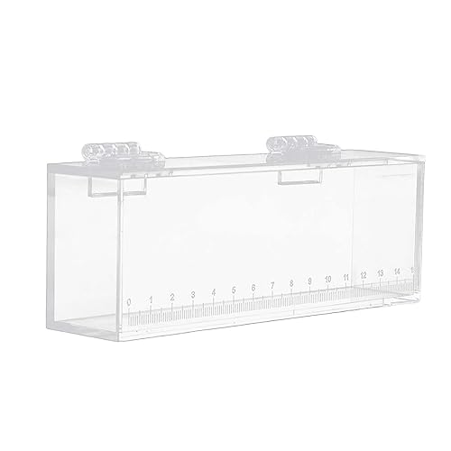 Acrylic for Fishing Photo Tank, L