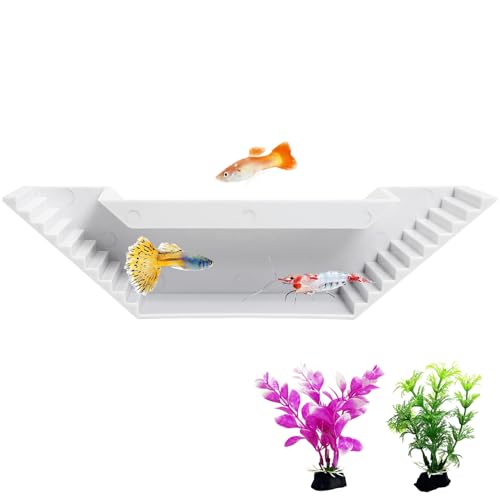 Aquarium Underground Tunnel Fish Tank Cave Viewing Shrimps Hideout Hermit Crab Decor with 2PC Plastic Aquatic Plants for Betta Guppy Cherry Shrimp and and Other Small Aquatic Animals (White