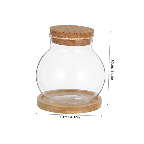 ABOOFAN 2Set Glass Betta Fish Tanks with Cushion Mat Small Vases for Desktop Plant Display and Home Office Decoration