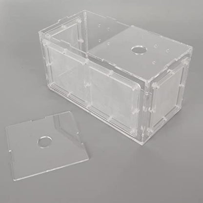Fish Breeding Box, Acrylic Aquarium Acclimation Hatchery Incubator , Adjuatable Hook Fixing Fish Isolation Box with Lid and Mesh for Baby Fishes, Shrimp, Clownfish, Guppy