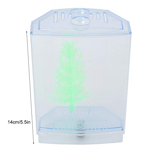 GLOGLOW Mini Aquarium Fish Tank, Acrylic Breeding Box for Betta and Guppies, Isolator for Small Fish with Air Circulation and Easy Waste Drainage (Single Grid)