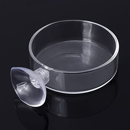 Fish for Tank Feeder Aquarium Shrimp Glass Feeding Bowl Clear Dish T Aquarium Fish Tank Landscaping Plant Landscape Fishtank Artificial Simulation Plant Biological Landscape Artificial