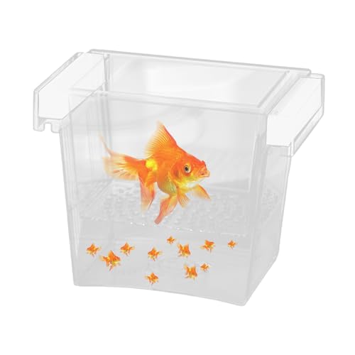 Fish Hatching Container - Floating Fish Breeder Box for Aquarium, Isolation & Hatchery Tank | Fish Nursery Box, Divider Incubator Container for Betta Fry Guppy Angelfish Acclimation & Feeding - color: Square