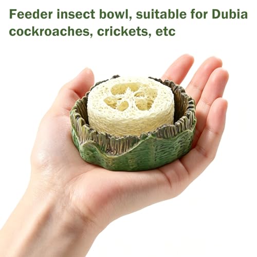 Cockroach Water Basin & 3 Loofah Set, Dubia Roaches Live Habitat Reptile Container Supplies for Terrariums & Enclosures, Comfortable Habitat for Roaches Live, Isopods, Springtails, Crickets