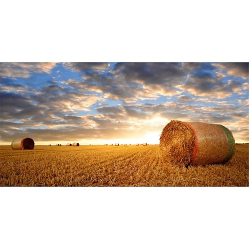 AWERT 36x18 inchesReptile Habitat Background Blue Sky White Clouds Sunset Grass Stacks and Wheat Fields Fish Tank Climbing Pet Background Nature Art Terrarium Background