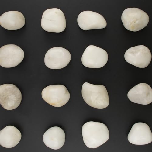 20lbs River Rocks - 1-2Inch Decorative Rocks for Potted Plants, River Rocks for Aquariums, and White Rocks for Landscaping (Weight : 20 LB, White)