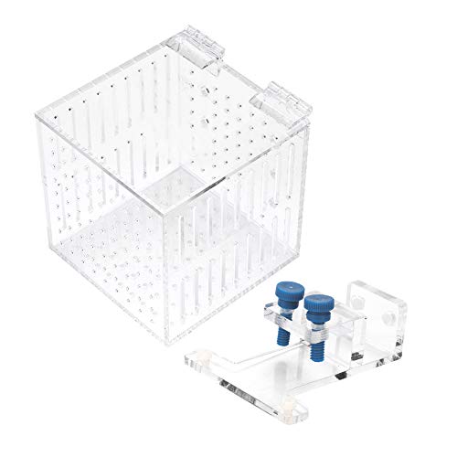 Clear Acrylic Fish Tank Isolation Box, Multifunctional Enclosure for Small Pets, 10.5 cm³, Water Flow Assurance