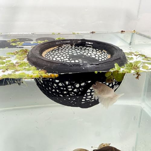 Aquarium Floating Betta Fish Skins, Betta or Shrimp Feeder, Cave and Hammock, Small Fish Feeding Rings, Aquarium Hiding Feeding Decorative Accessories (Black) - color: Black