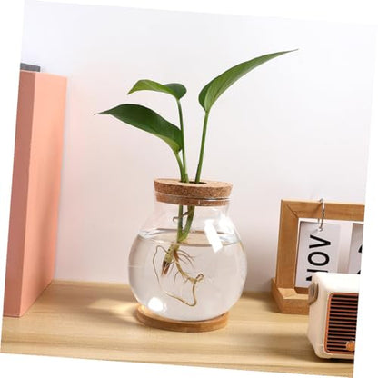 VICASKY Small Glass Fish Bowl with Lid and Mat, 10x11cm Hydroponic Mini Betta Fish Tank, Compact Terrarium Jar for Desktop Aquarium and Home Decor