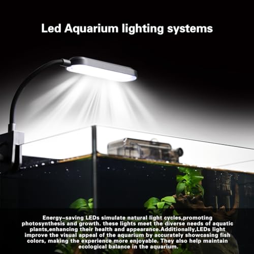 Glass Fish Tank Kit,2.8 Gallon Fish Tank,Small Aquarium, Ultra-Clear Nano Aquarium,Betta Fish Tank,Small Fish Tank,Aquarium Starter kit,Desktop Fish Tank,with Light and Filter