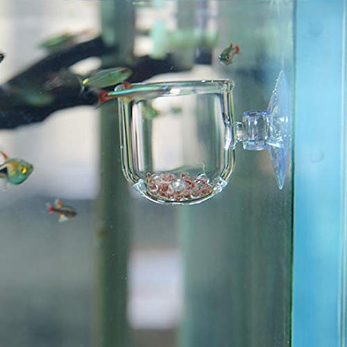 Ailindany Aquarium Glass Feeding Cone Cup Plant Cup Brine Shrimp Live Red Worm Fish Feeder for Aquariums with Suction