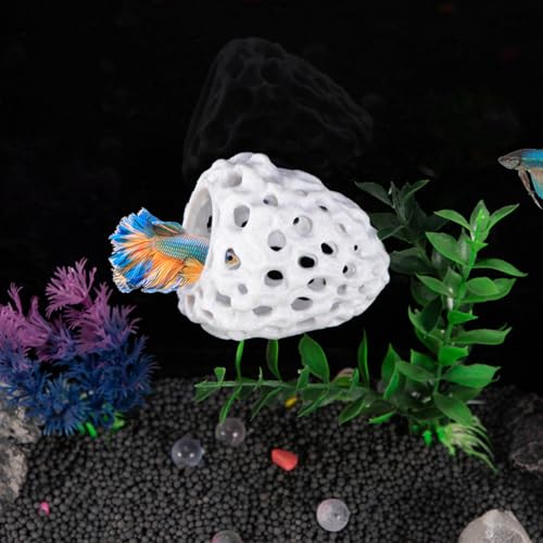 Shrimp Cave, Fish Tank Rocks with Suction Cup, Hollow & Multifunctional Fish Tank Accessories, Simulation Aquarium Decor for Home, Decoration