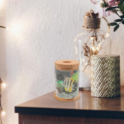 Glass Fish Bowl with Mat, Hydroponic Plant Terrarium for Desktop, Small Creative Glass Aquarium for Betta and Goldfish Home Decor