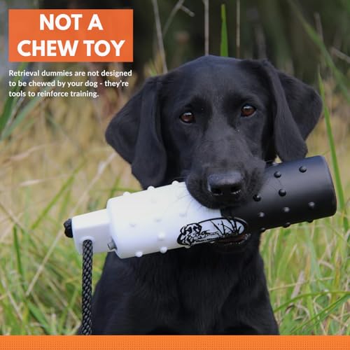 Ultimate Greenwing Teal Dog Training Dummy w/Rope – Retriever Bumper for Fetch, Scent & Blind Drills, Green-Winged Teal Duck