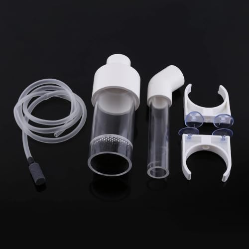 Aquarium Cichlids Fish Egg Incubator Mouth Brooding Breeding Box for Fish Farming - Acrylic Fish Hatchery Isolation Box for Cichlid