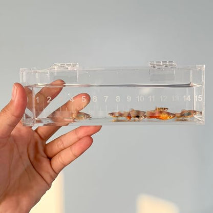Fish Viewing Box Container with Lid and Scale, Acrylic Portable Fishing Mini Aquarium, Small Fish Breeder Hatching Boxes, Safe Tank Case for Breeding Egg Photo Isolation Outdoor Indoor