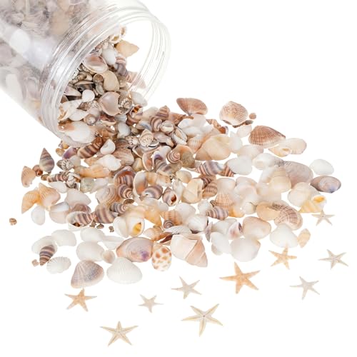 1200 Pcs Small Seashells Starfish Mixed Beach Seashells for Home Decoration Beach Theme Party DIY Crafts Candle Making