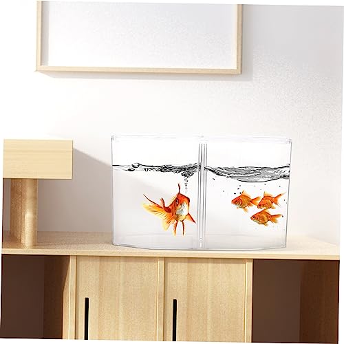 Toddmomy Betta Fish Breeding Box Clear Design Dual Room Isolation Tank for Small Fish and Shrimp Easy to Clean Incubation Box for