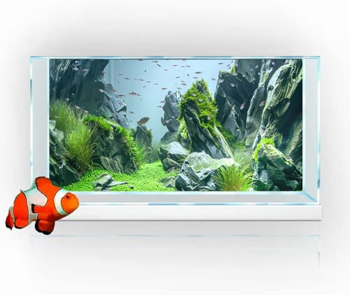 Marine Aquarium Background, Sea Rock Green Landscape Fish Tank Background, Nature Photo Terrarium Background 48X24IN with 8 EVA Double-Sided Tape