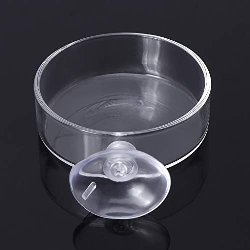 Glass Feeder Dish 2.4 Inches Wide 0.7 Inches Transparent Round Food Bowl for Cory Pleco Bottom Feeding Fish Aquarium Heater Light Thermometers Gravel Sand Decorations